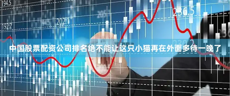 中国股票配资公司排名绝不能让这只小猫再在外面多待一晚了
